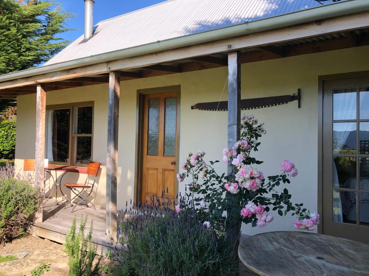 St Leonards Vineyard Cottages Blenheim Exterior foto