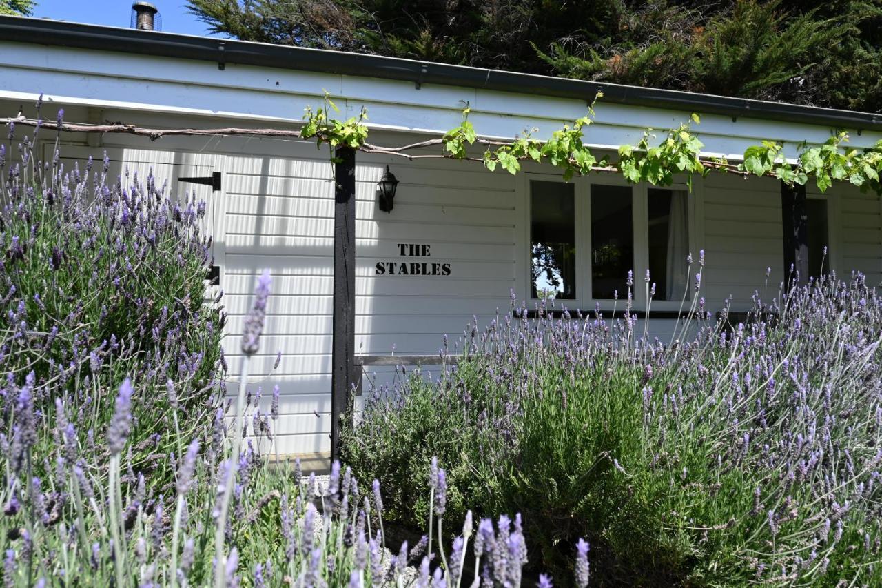 St Leonards Vineyard Cottages Blenheim Exterior foto